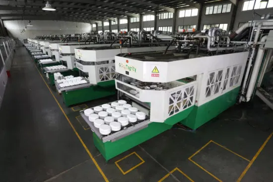 Linea di produzione completamente automatica della macchina per lo stampaggio della polpa di carta da tavola biodegradabile della bagassa della canna da zucchero